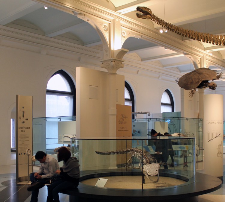 museum-of-vertebrates-photo